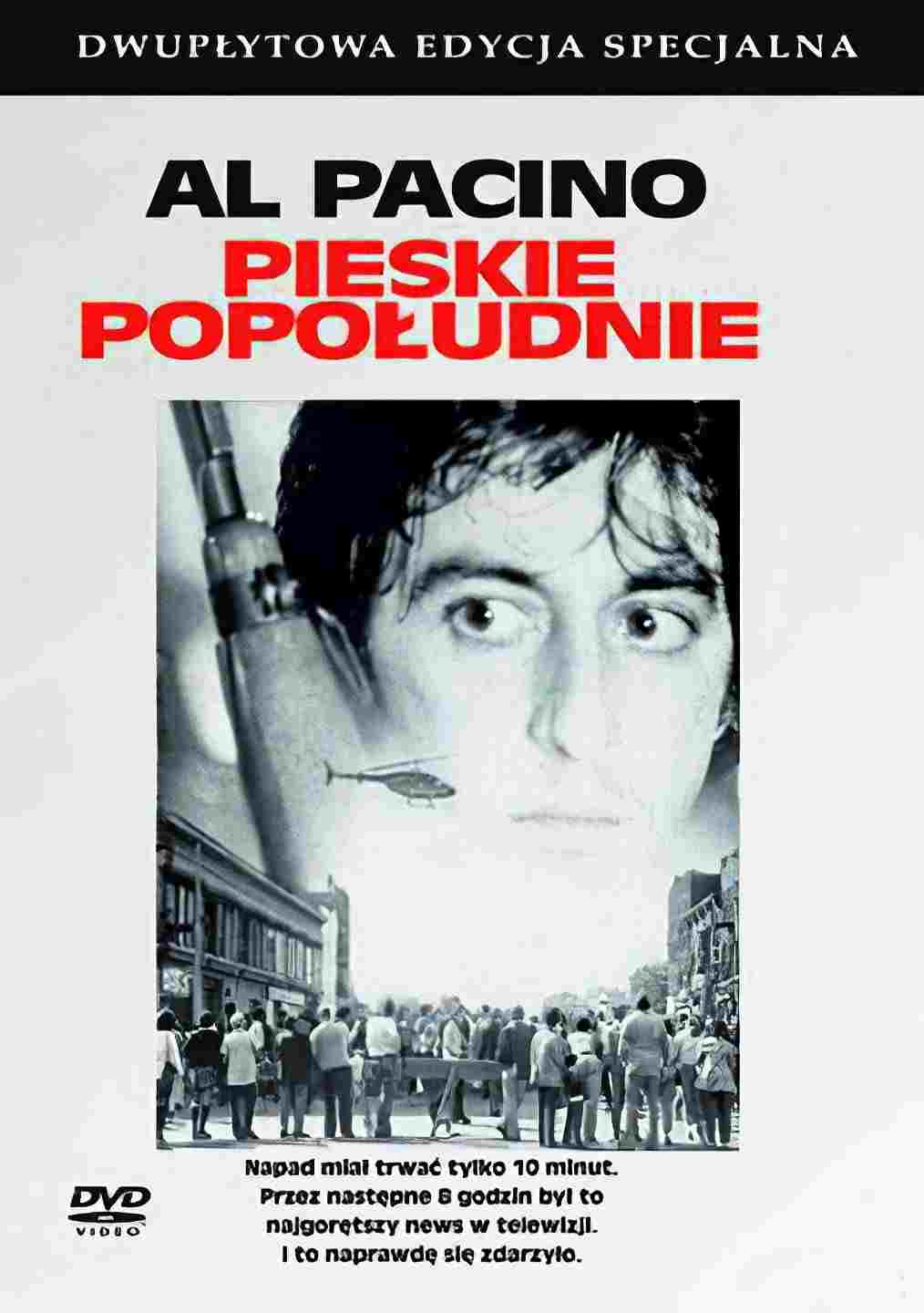  Pieskie Popołudnie 