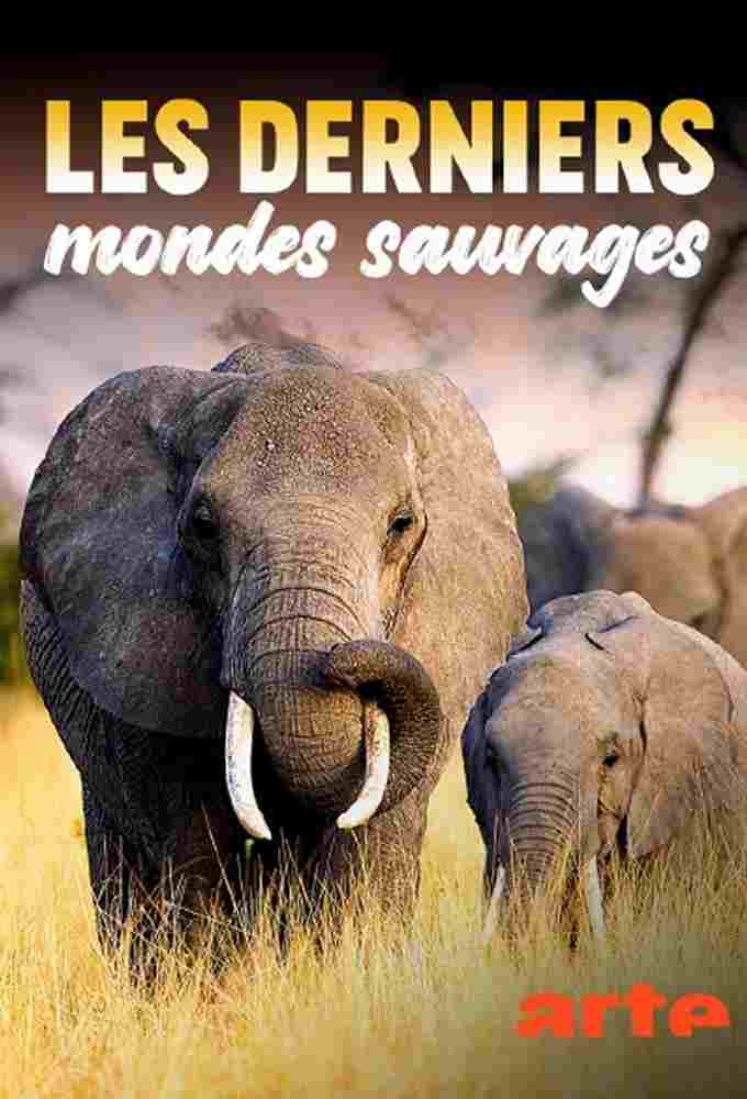  Les Derniers Mondes Sauvages 