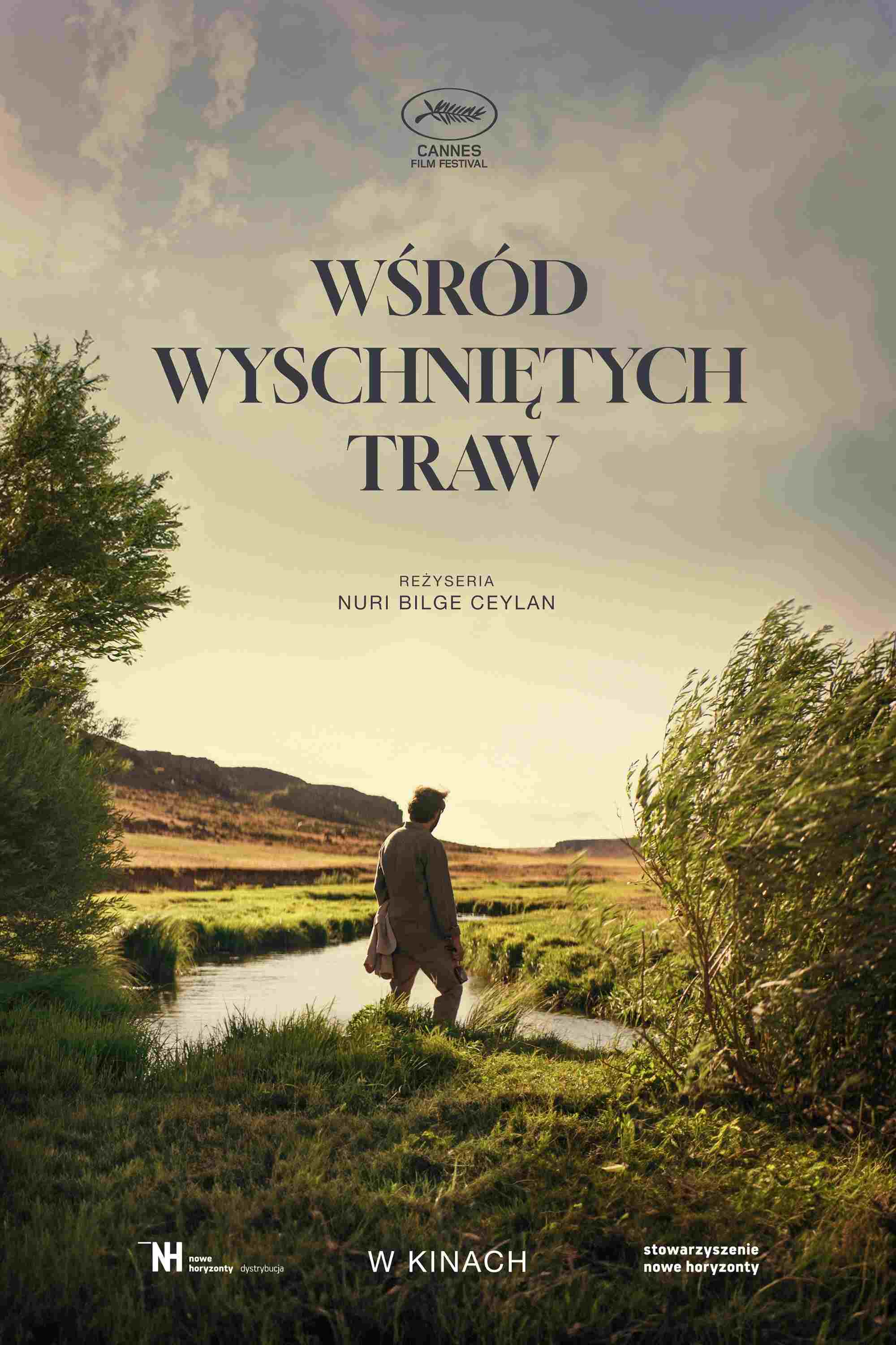 Wśród wyschniętych traw