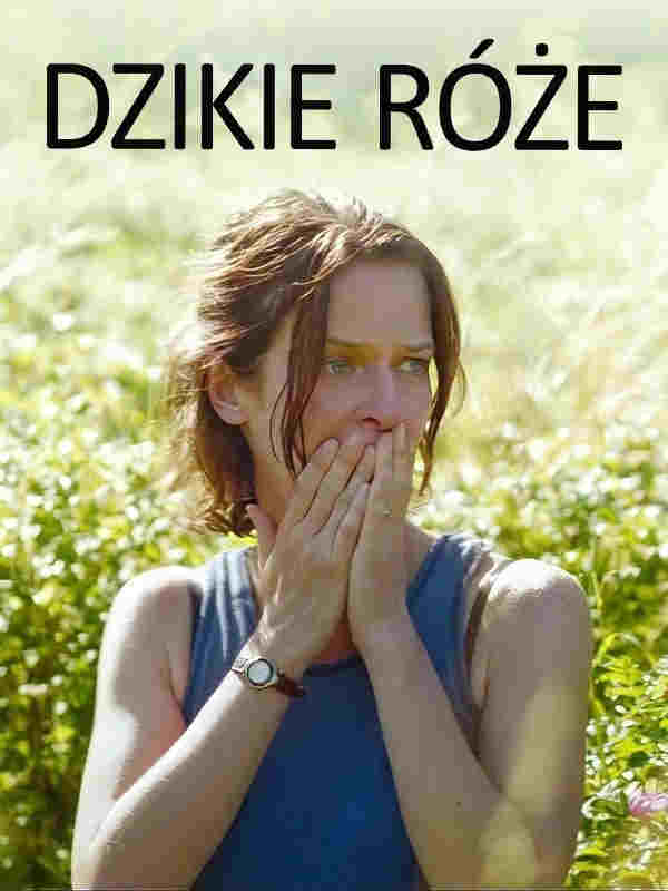 Dzikie róże