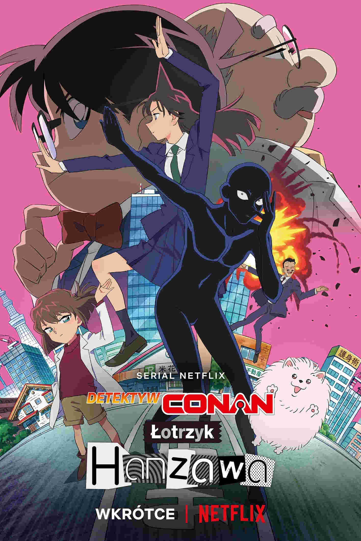 Detektyw Conan: Łotrzyk Hanzawa