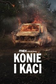 Konie i kaci