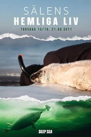 Sälens Hemliga Liv