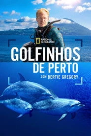 Bertie Gregory: bliskie spotkanie z delfinami