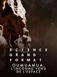 Oumuamua, przybysz z gwiazd