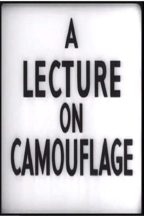  A Lecture on Camouflage 