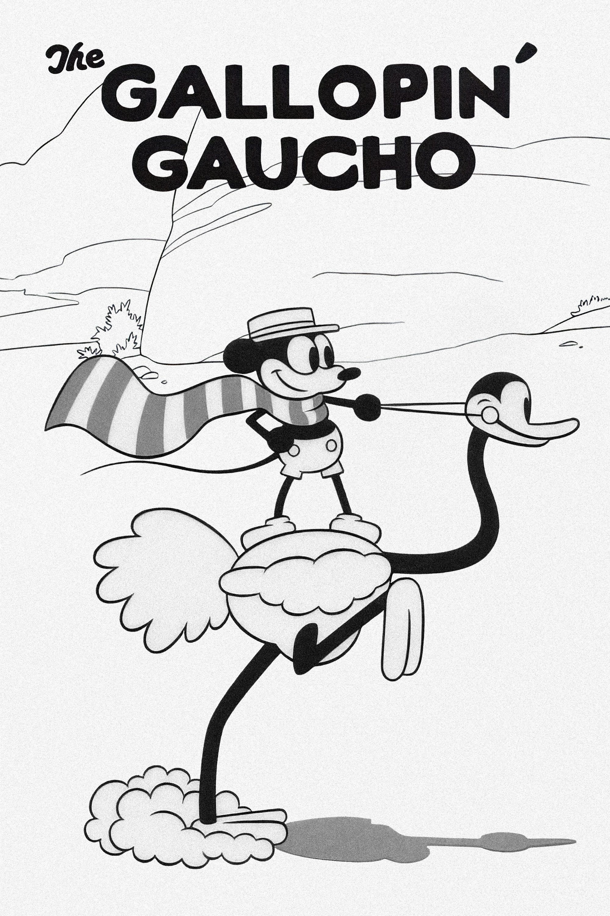  Galopujący Gaucho 