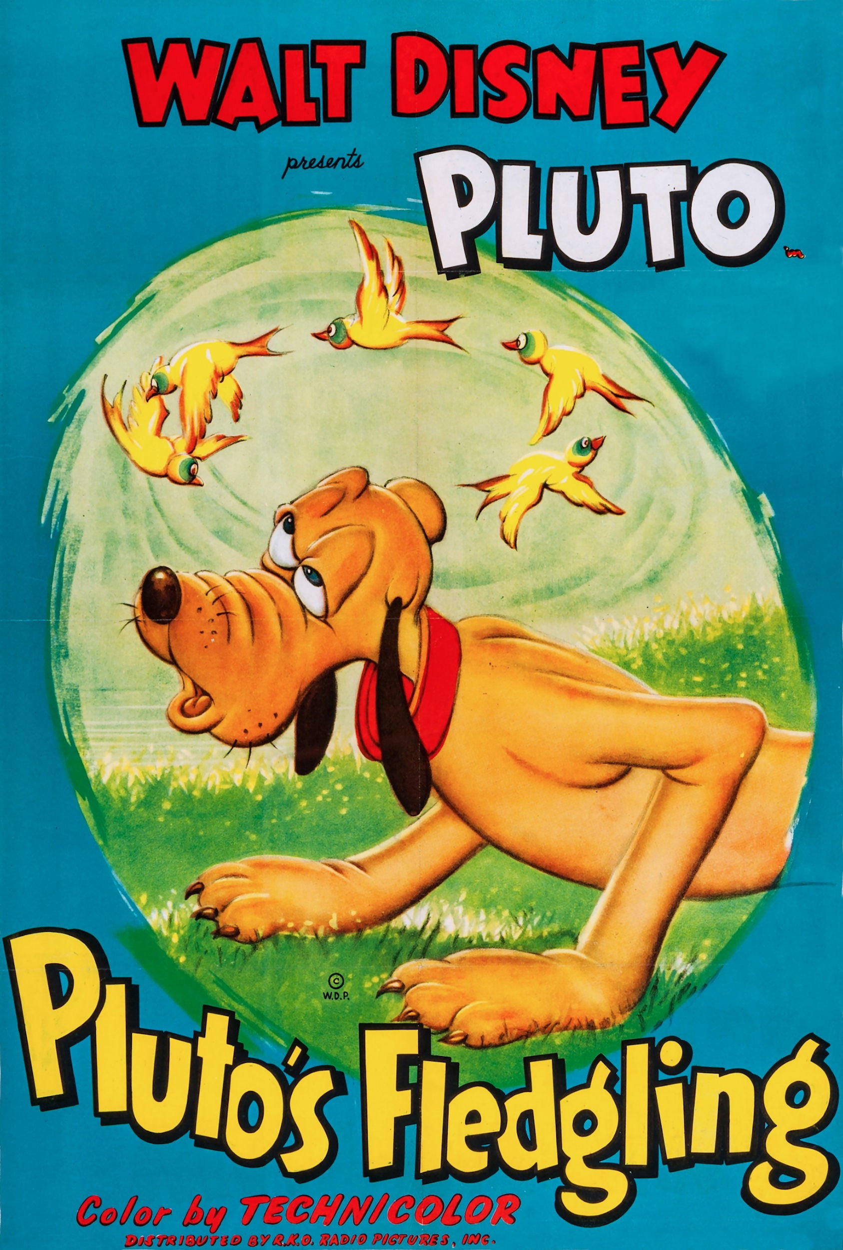  Ptaszek Pluta 