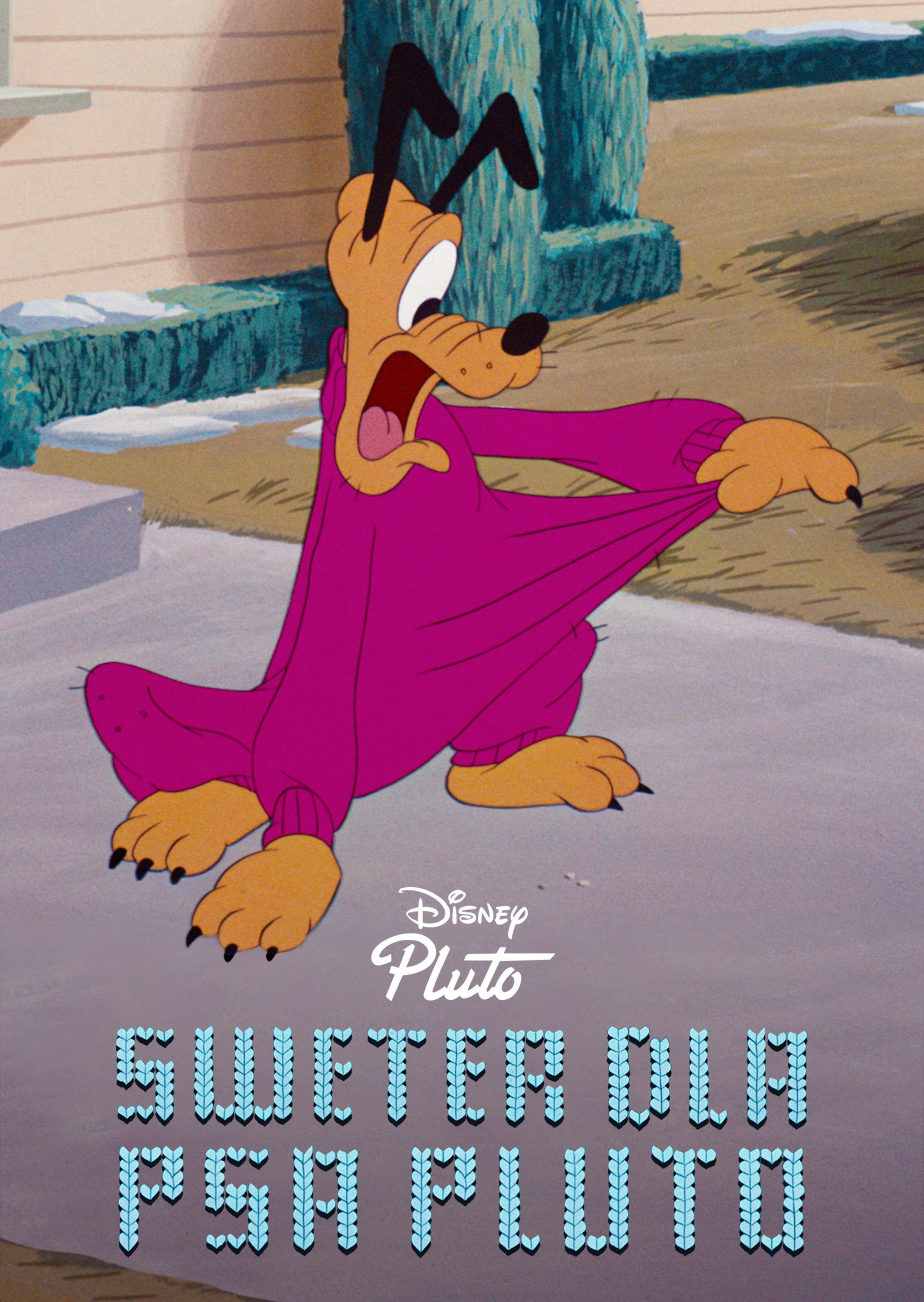  Sweter dla psa Pluto 
