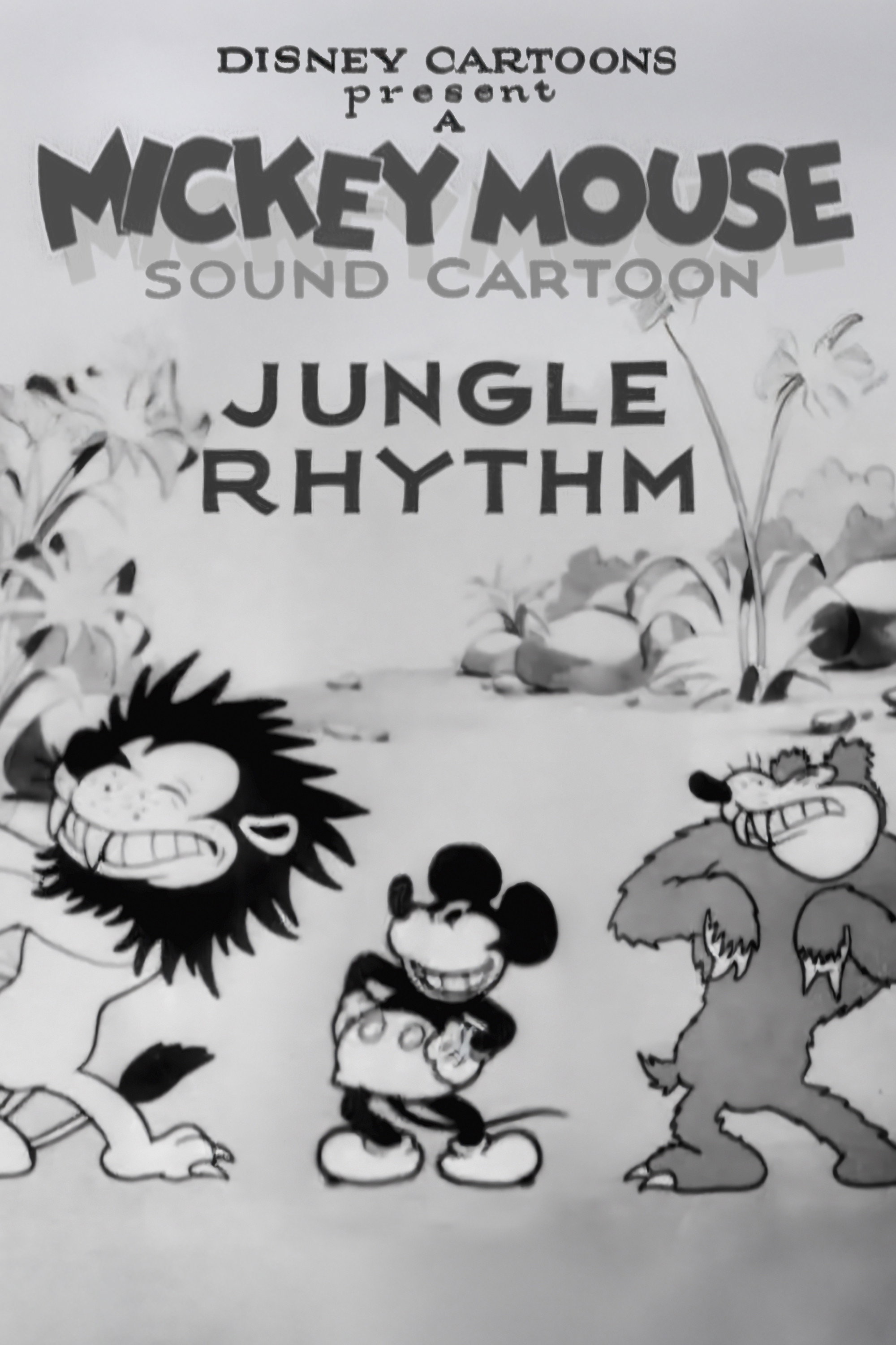  Rytm dżungli 