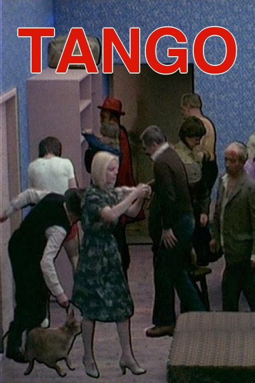  Tango 