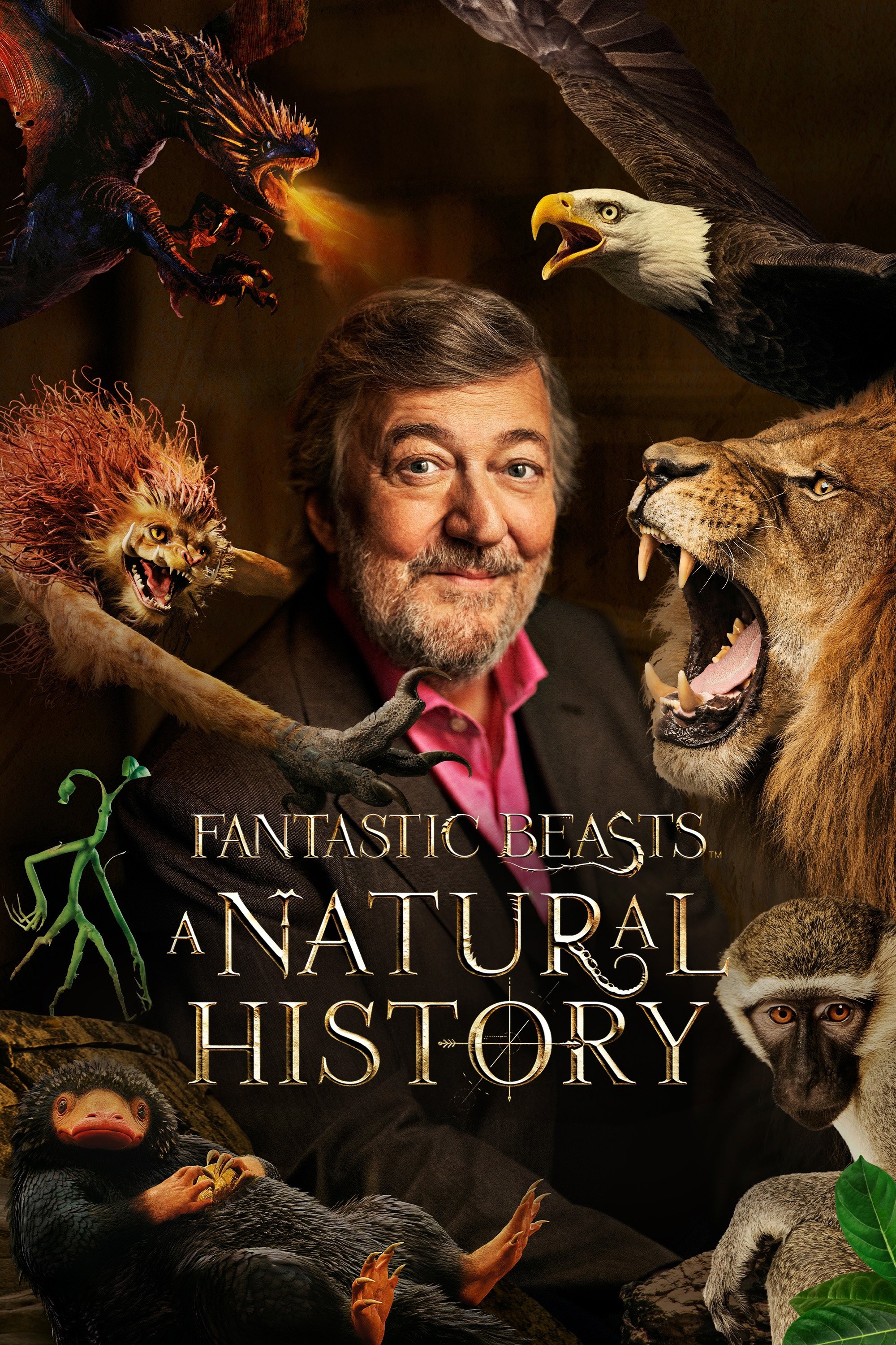  Fantastyczne zwierzęta: Historia naturalna 