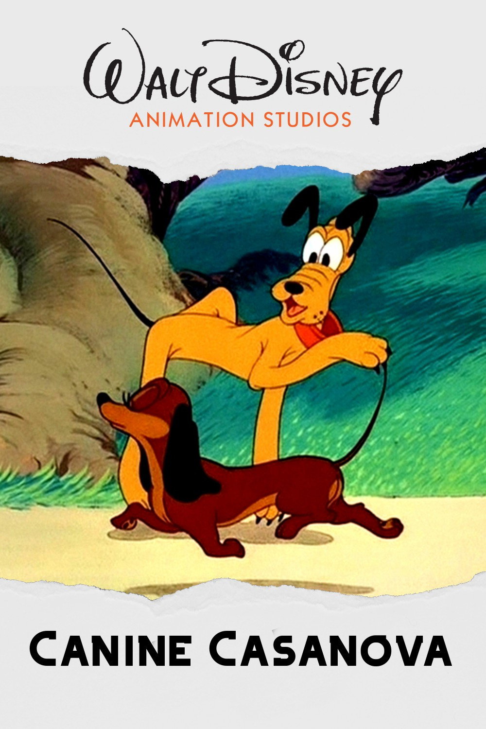  Psi casanova 