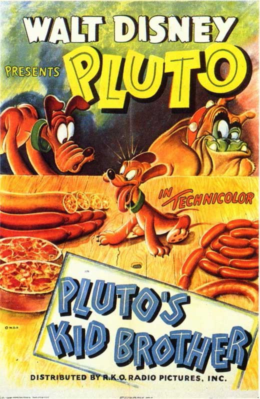  Braciszek psa Pluto 