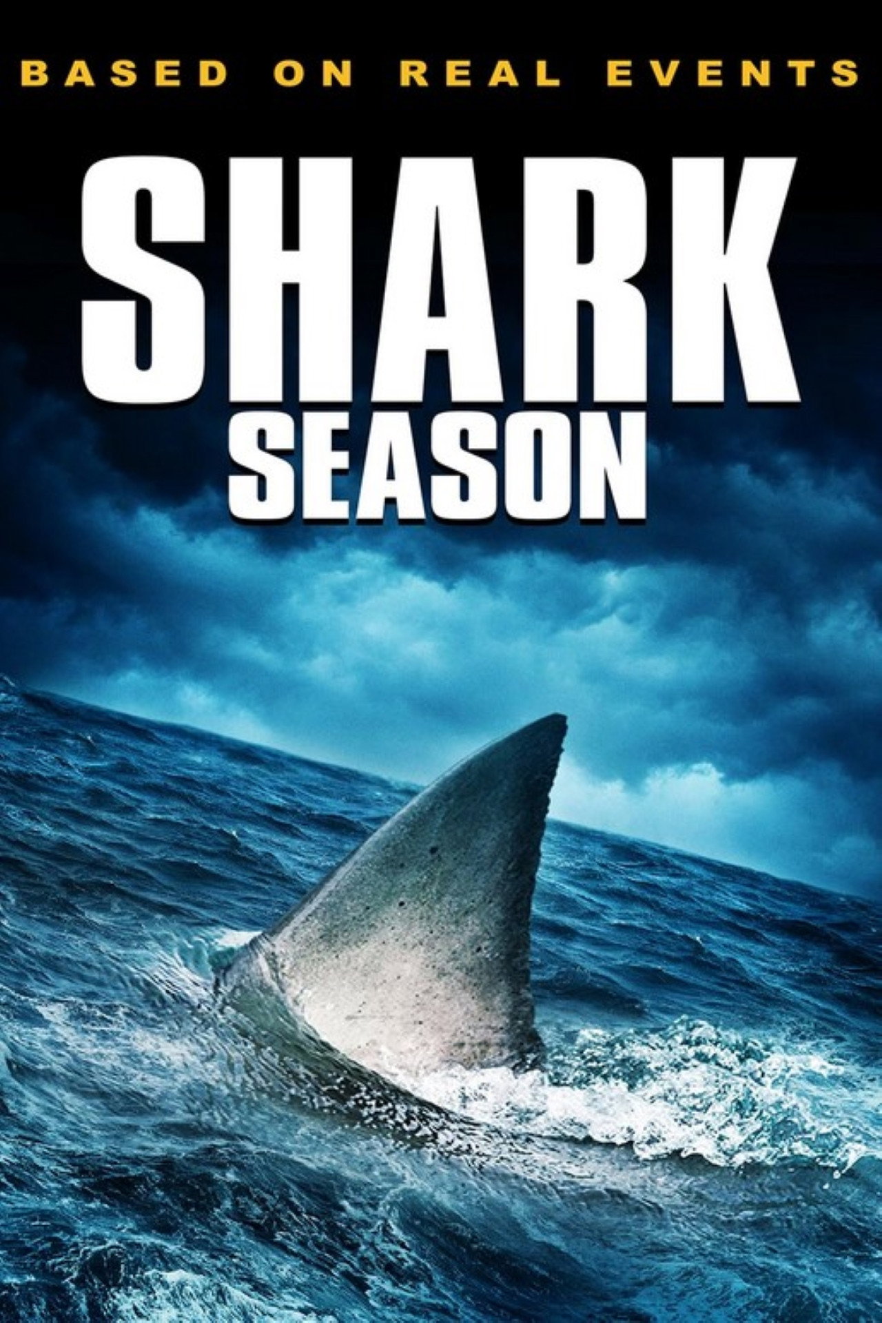  Shark Season 