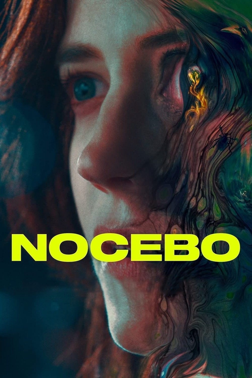 Nocebo 