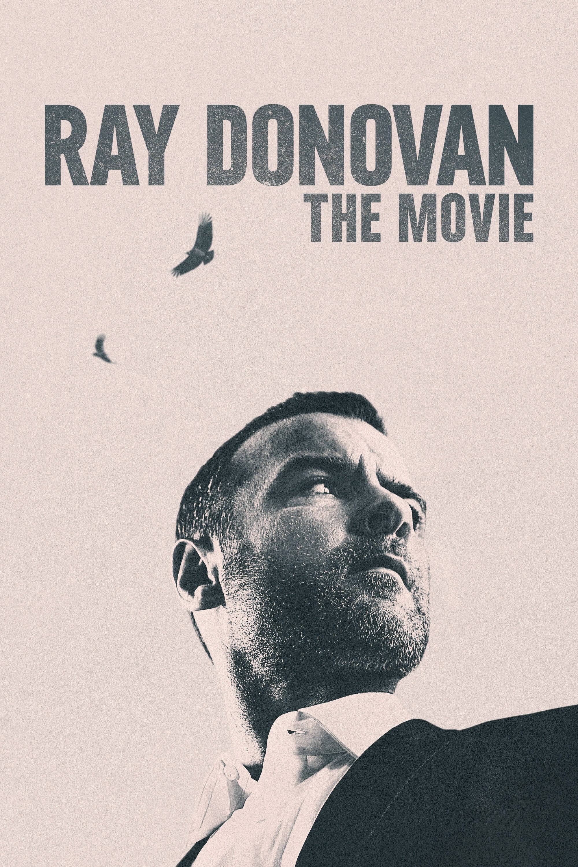  Ray Donovan 