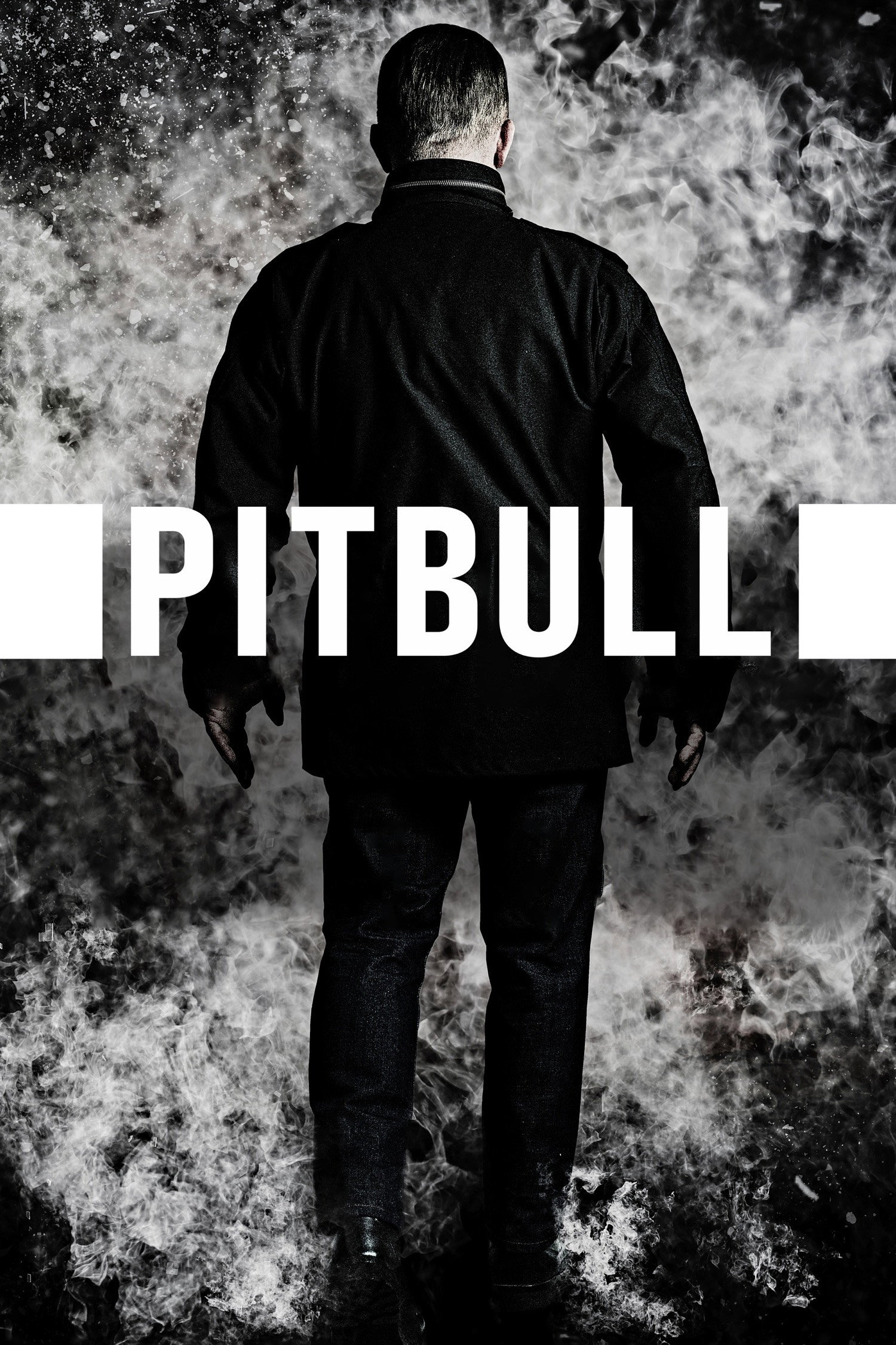  Pitbull 
