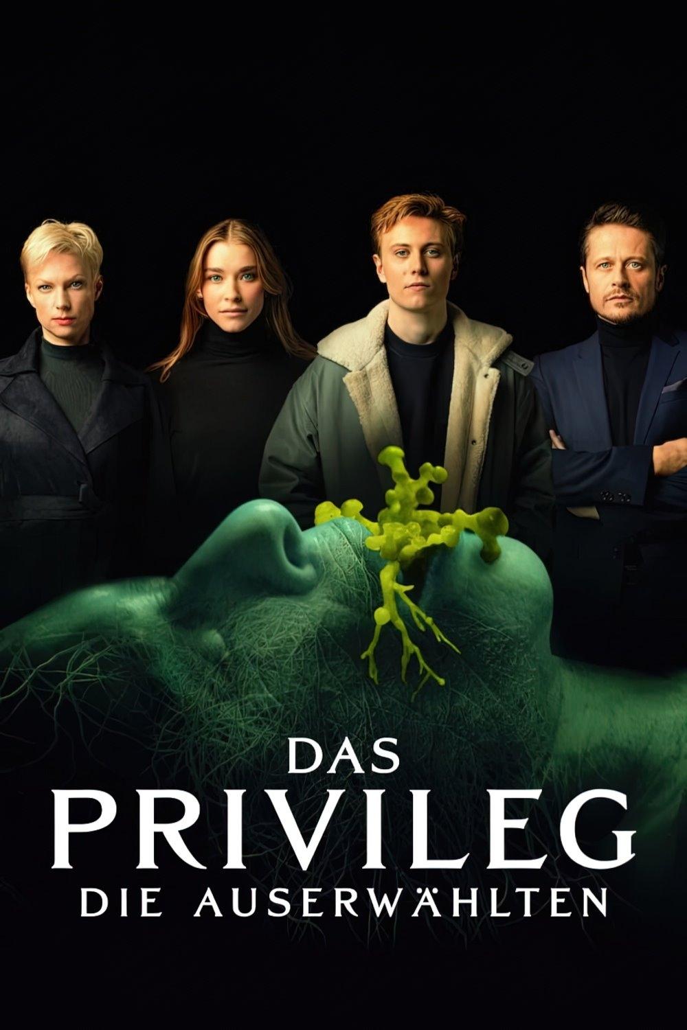  Przywilej 