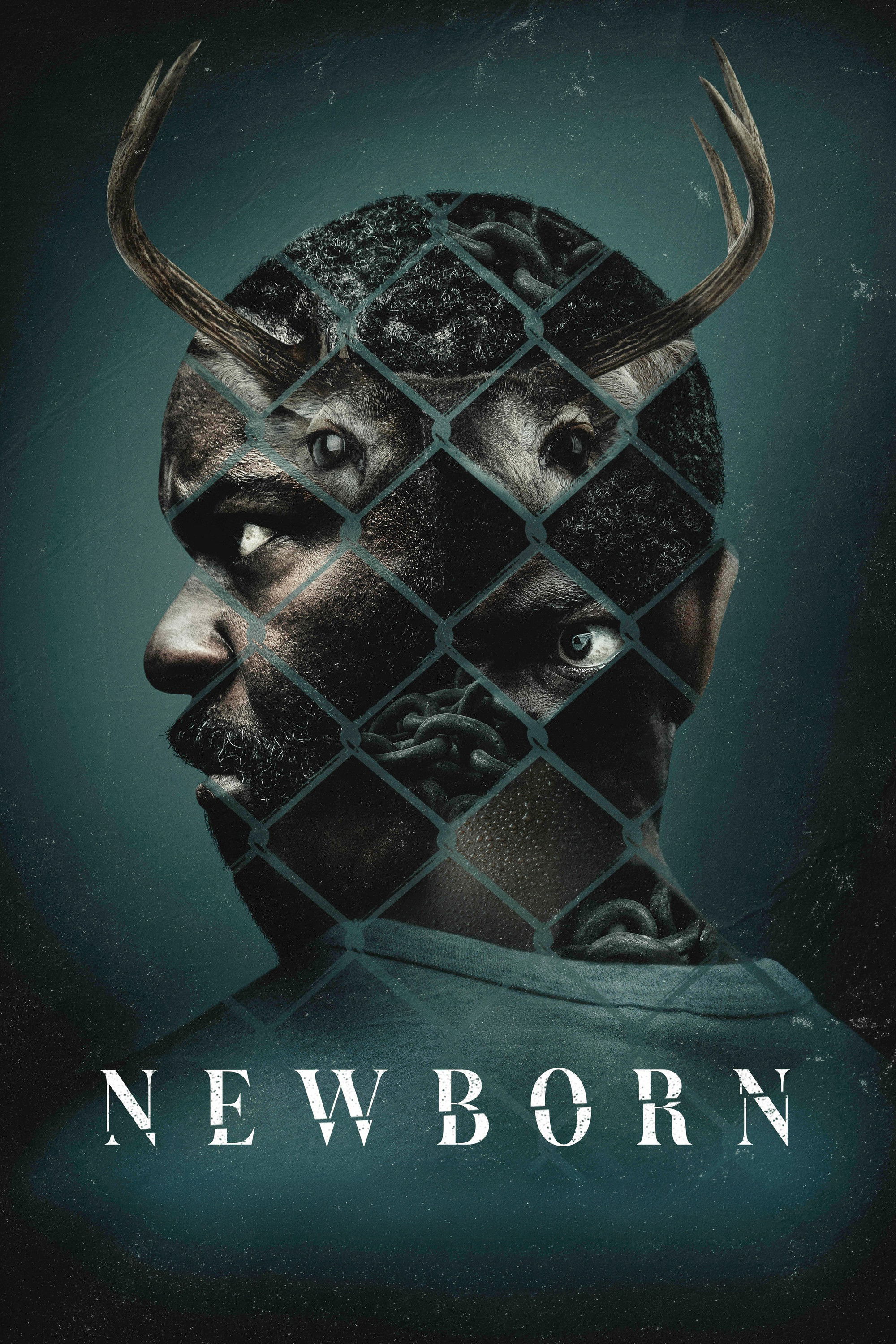  Newborn 