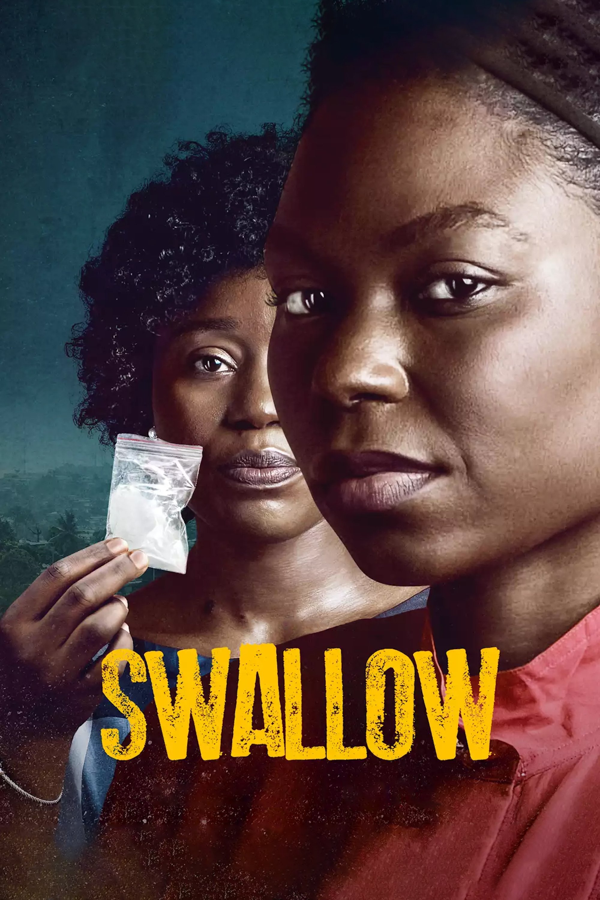  Swallow 