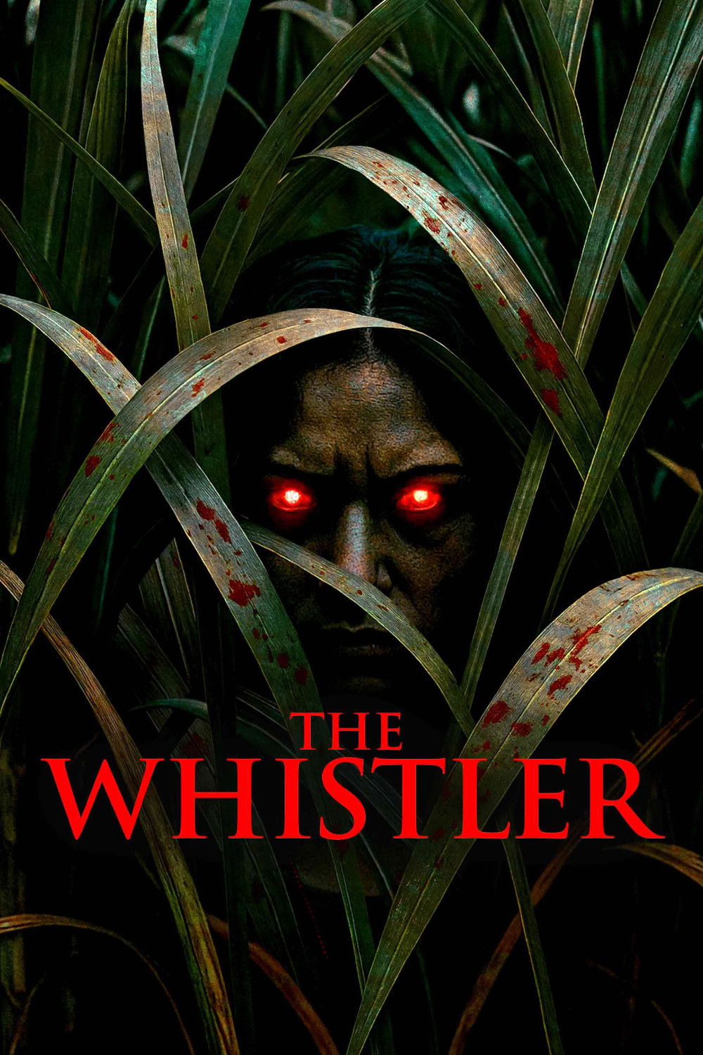  The Whistler 