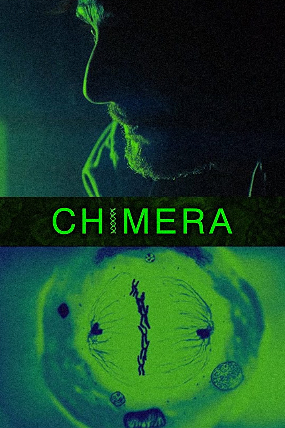  Chimera 