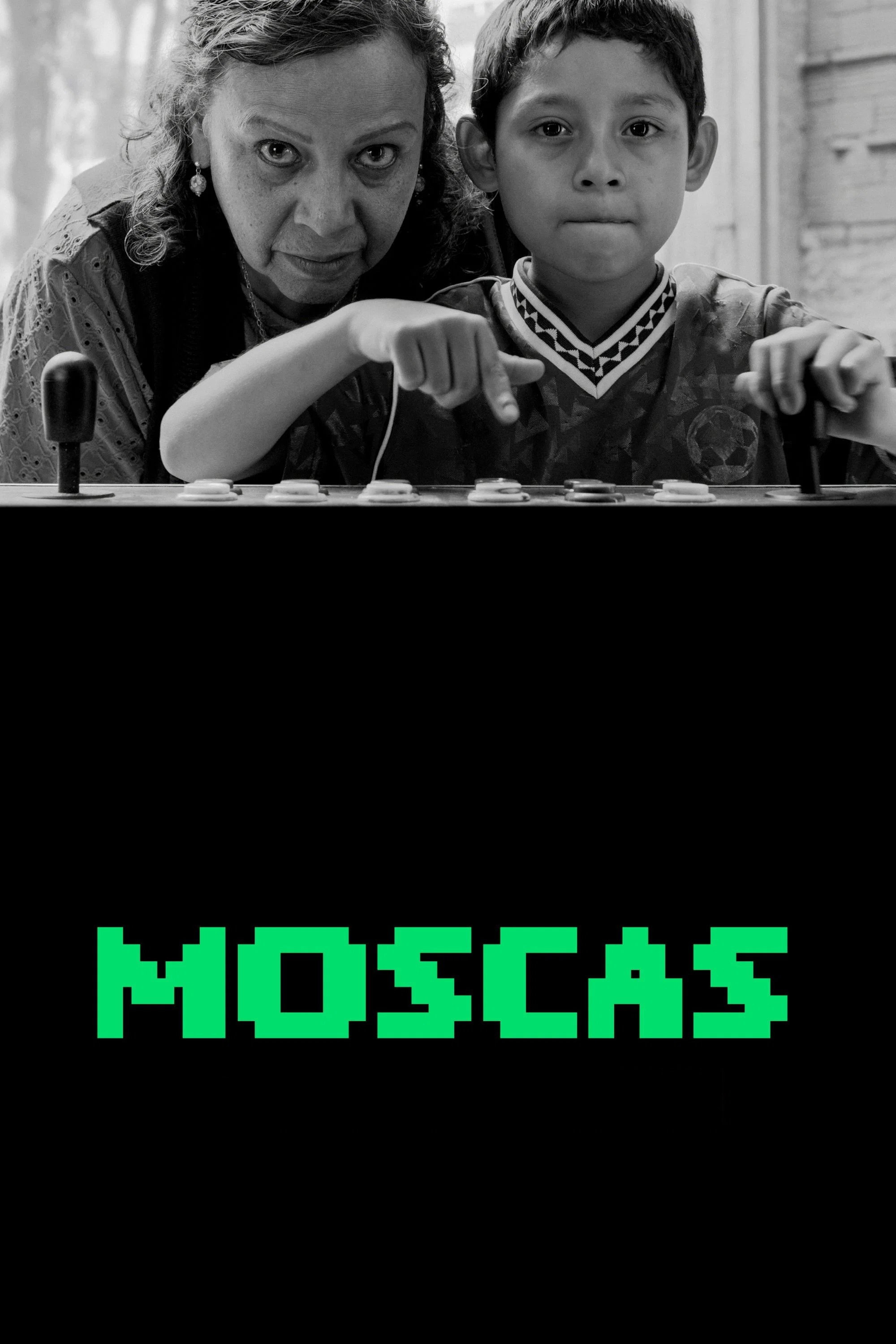  Moscas 